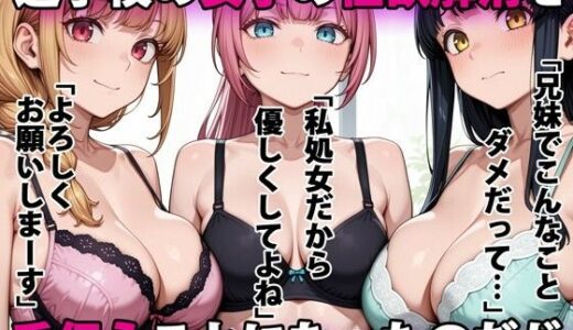 進学校の女子の性欲解消を手伝うことになったのだが【パルテノンの宴】
